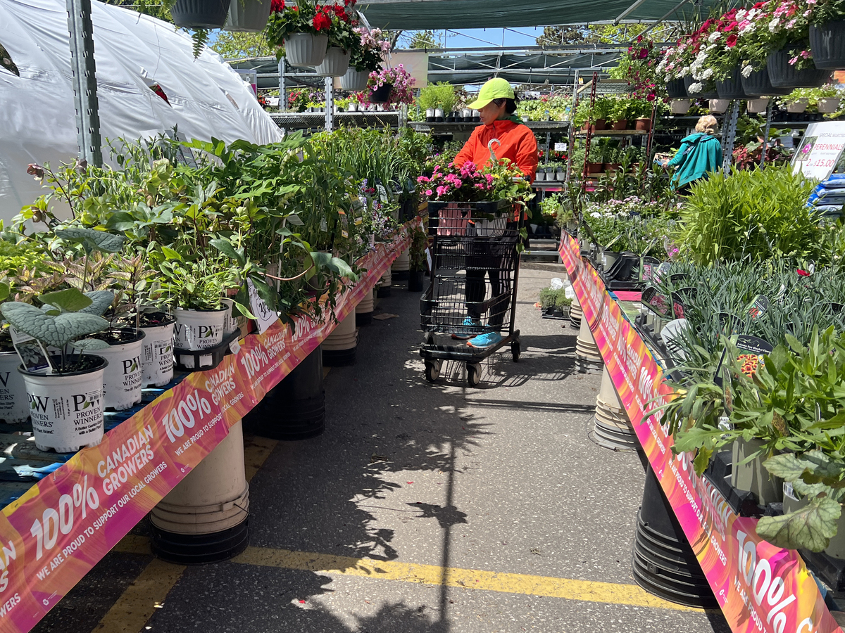 斗南花市地域文化元素