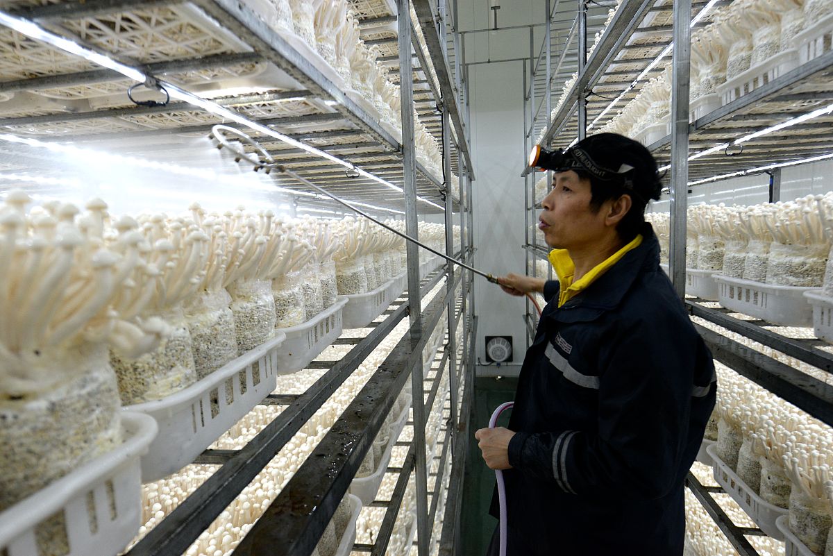 庐州卫生科技学校2021年招生条件是什么