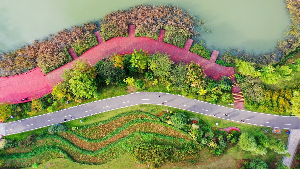 合肥求实科技学校2021年招生简章 - 培养高素质技能人才