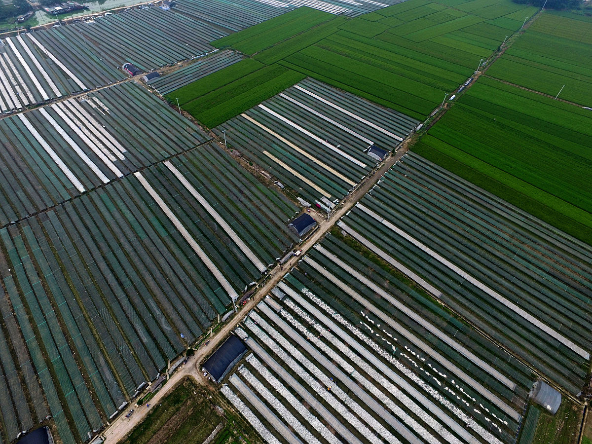 65.8亩土地产量分配计算：600-750公斤/亩产量参考