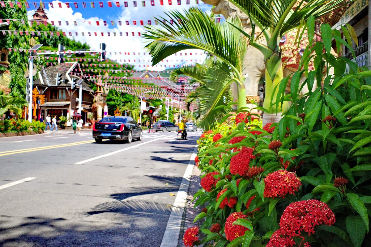 巴东 - 云南西双版纳的魅力之地