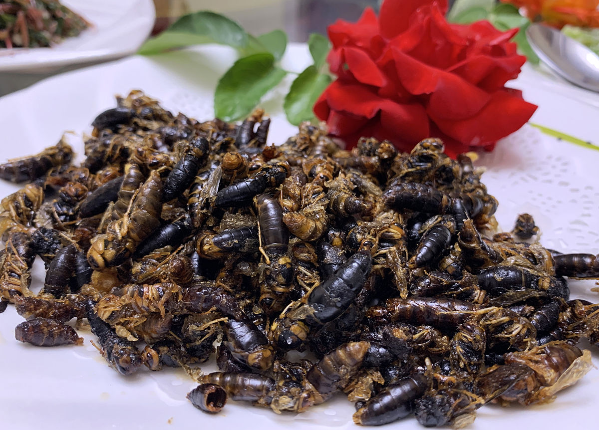 游玩临沂市攻略