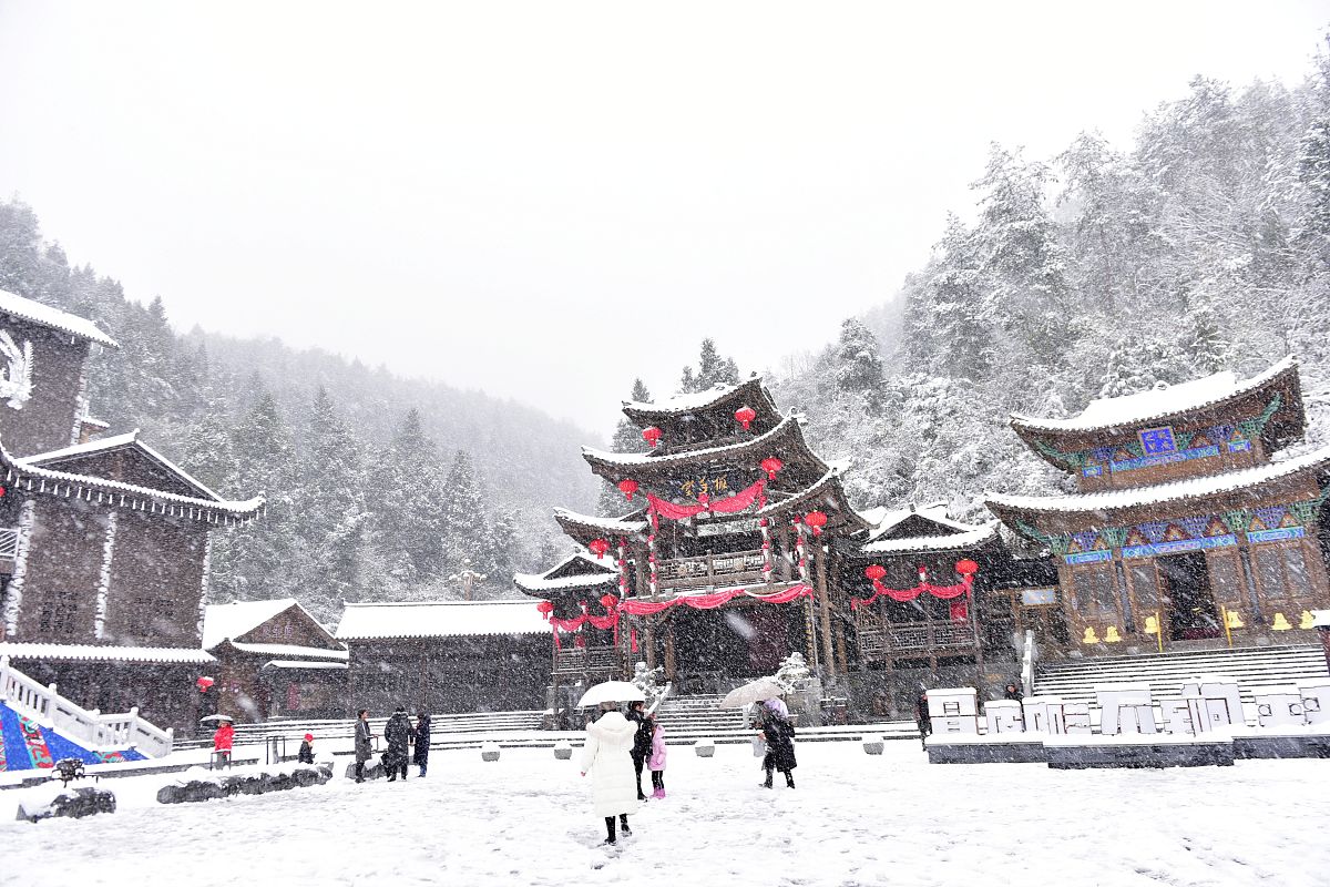 重庆市旅游学校招生专业：未来发展方向及就业前景