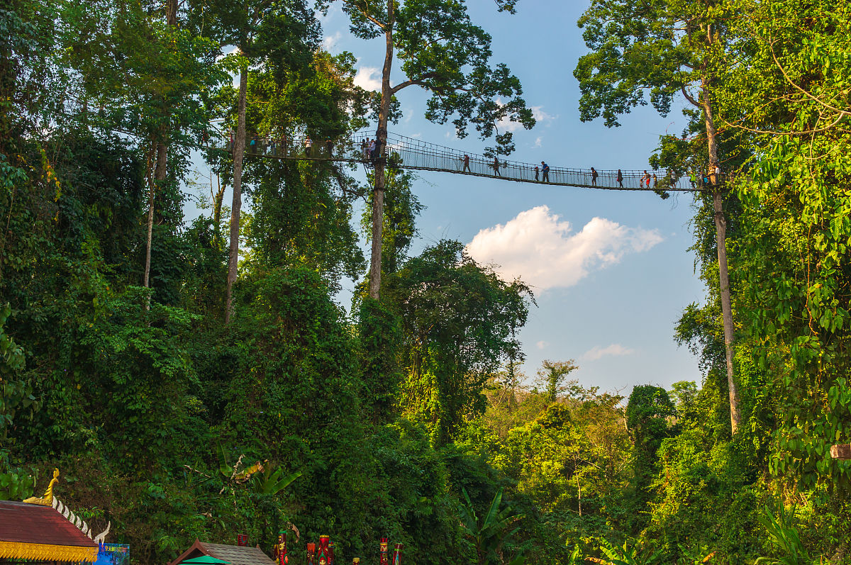 我想要一个去西双版纳旅游的朋友圈文案帮我写一份有诗意的文案30个字