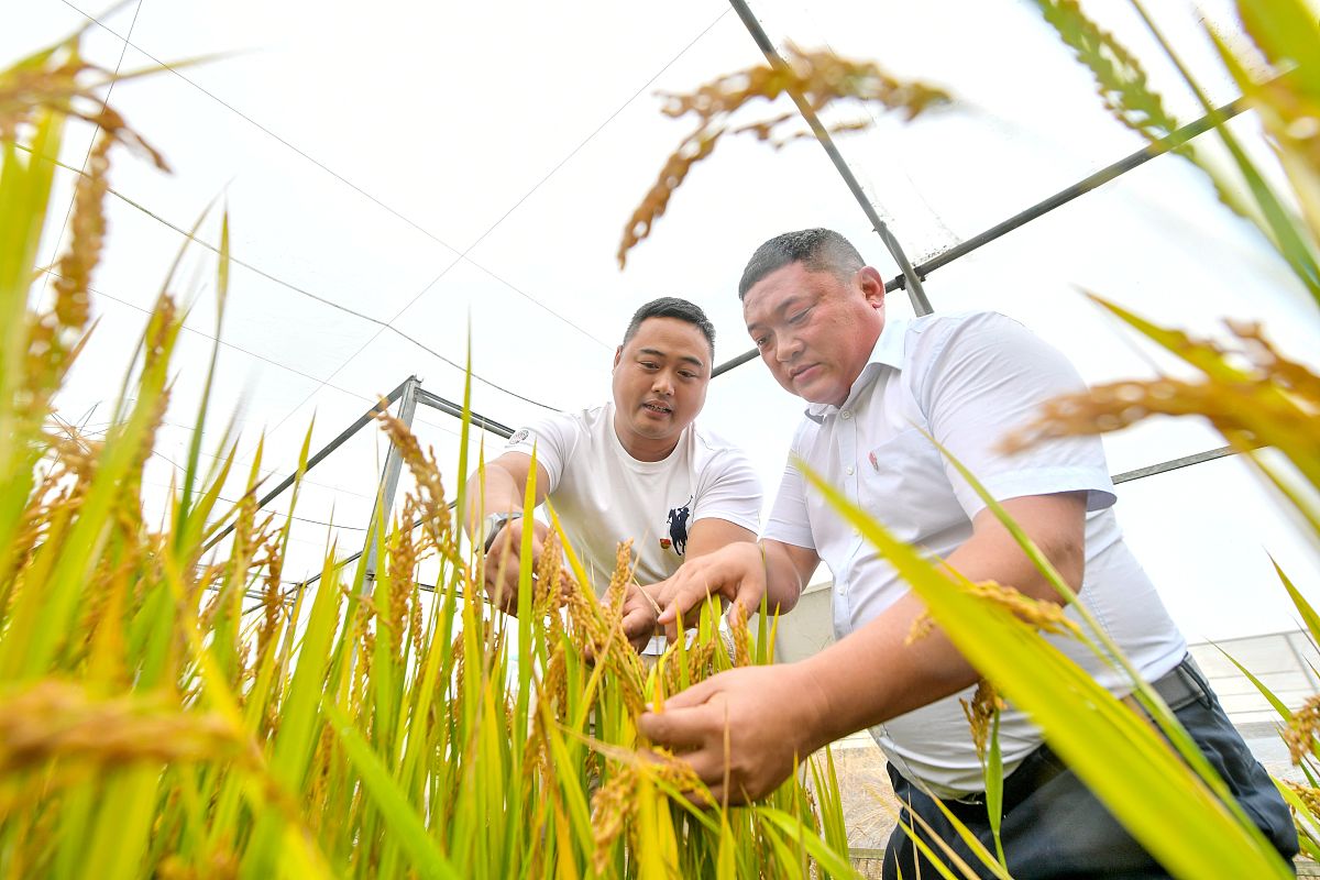 湖州现代农业技术学校2022年有哪些专业