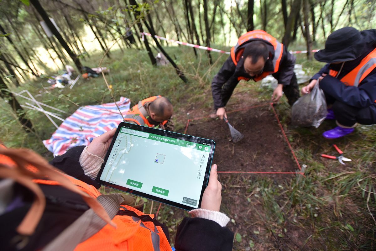 植物地理学野外实习：目的、方法和意义