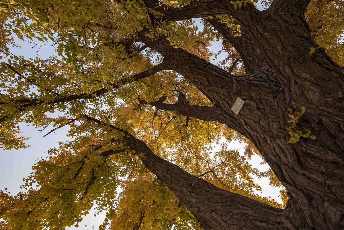 潍坊职业学院物流管理专业：优势、发展前景及就业方向