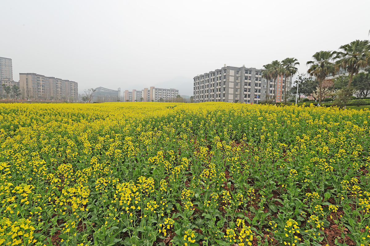 重庆轻工职业学院单招2023年单独招生简章
