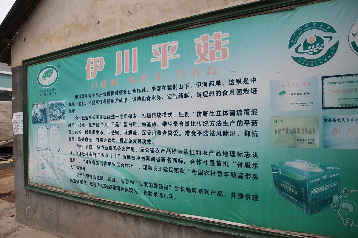 技师详情 - 服务预约 - 用户评价