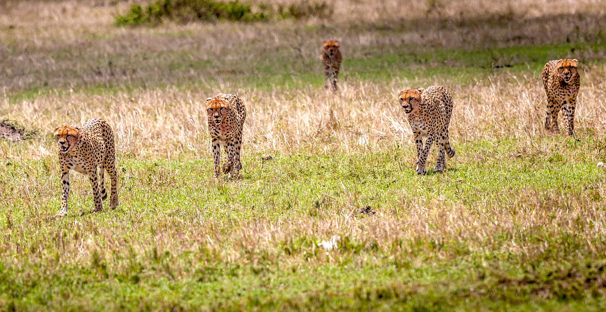 大学生劳动周体会：珍惜、合作、责任感