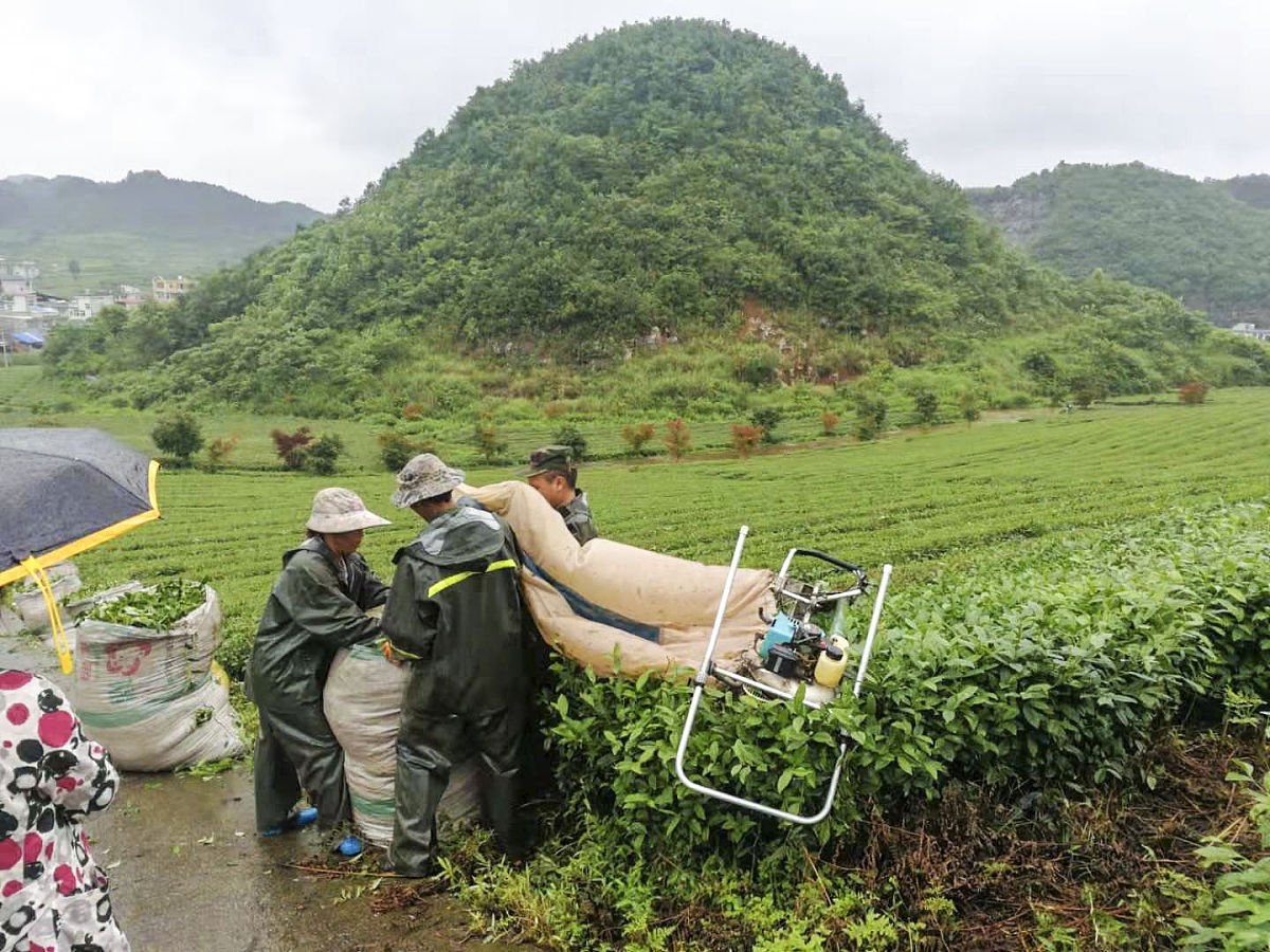 贵州2023年男生中专读什么专业好