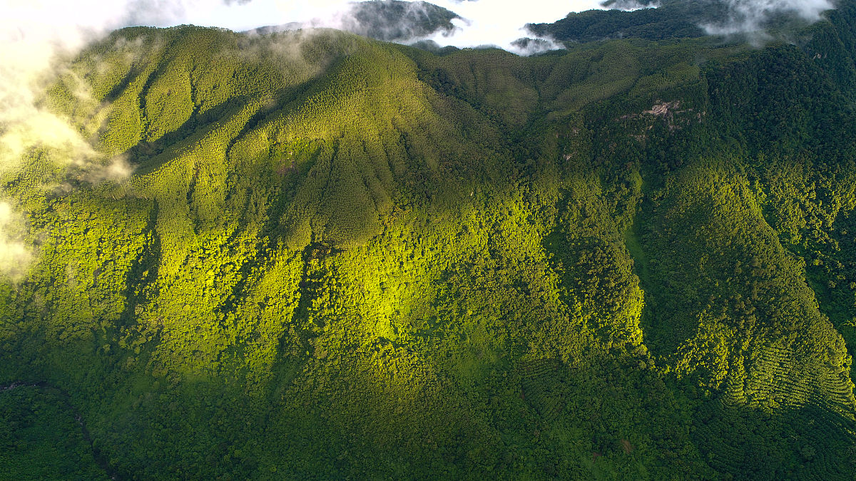 自然画卷：一个庇护生命与心灵的圣地