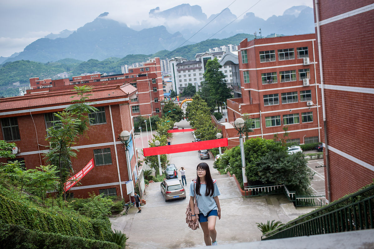 理科550分高考志愿填报指南：大学选择策略与建议