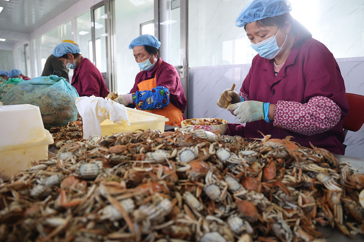 威海市水产学校：培养水产养殖人才的摇篮