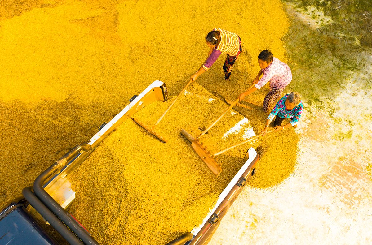 巴中就业最好的中专学校推荐