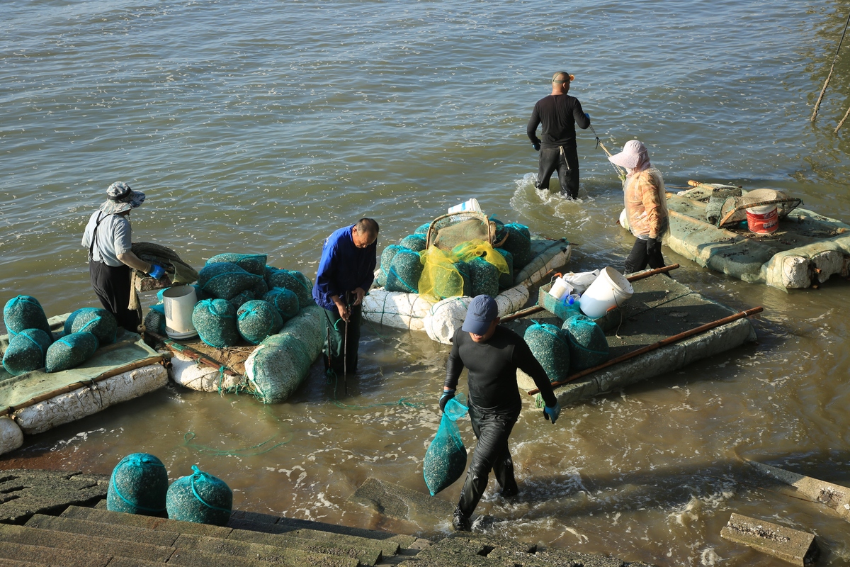 长江禁渔巡护新机制：保护生态、维护权益、促进发展