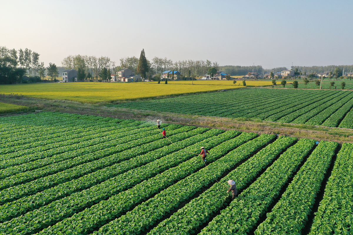 宜宾市叙州区柳嘉职业技术学校设施农业生产技术专业怎么样？好学吗？