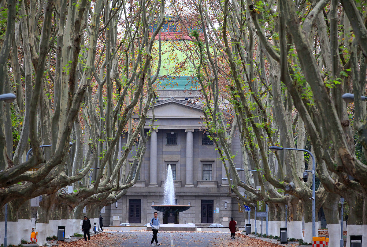 2020年11月21日,江苏省南京市,东南<strong>大学</strong>校园道路两侧的法国梧桐树树叶