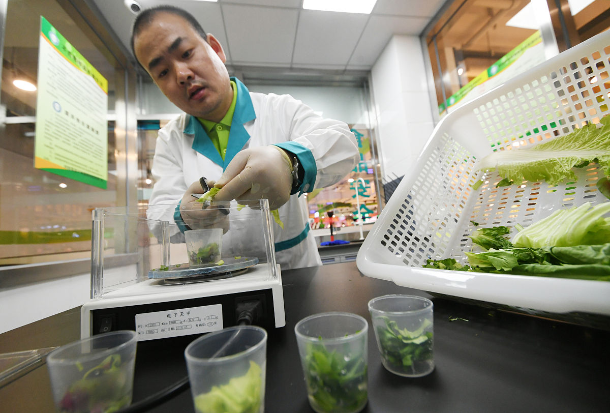 国家植物功能成分利用工程技术研究中心实训报告 - 深入学习提取、分离、纯化及应用