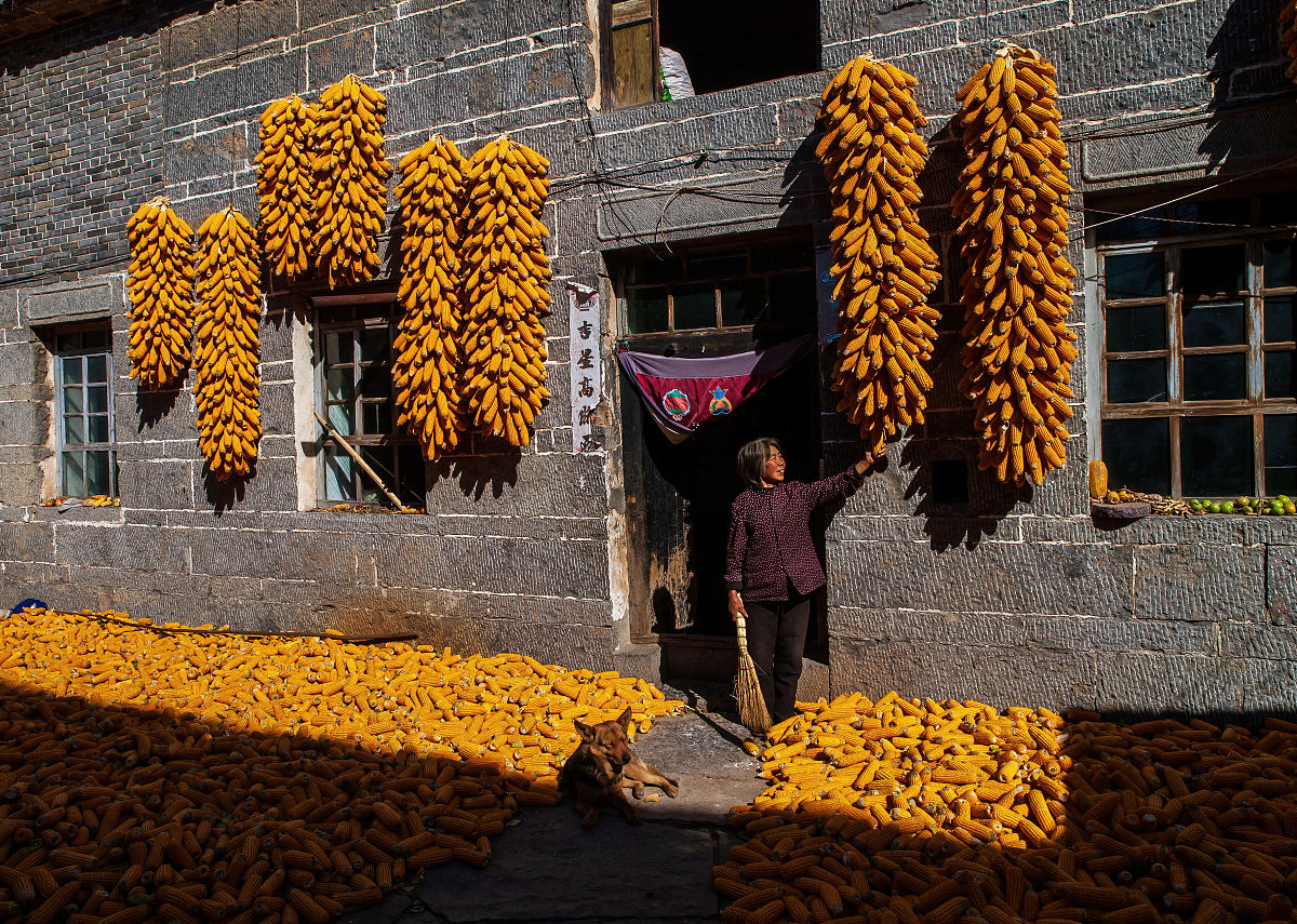 晋城虹桥技校2022年招生简章