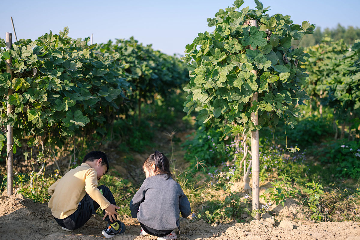惠州农业学校2022年招生简章 - 报名时间、专业、录取方式
