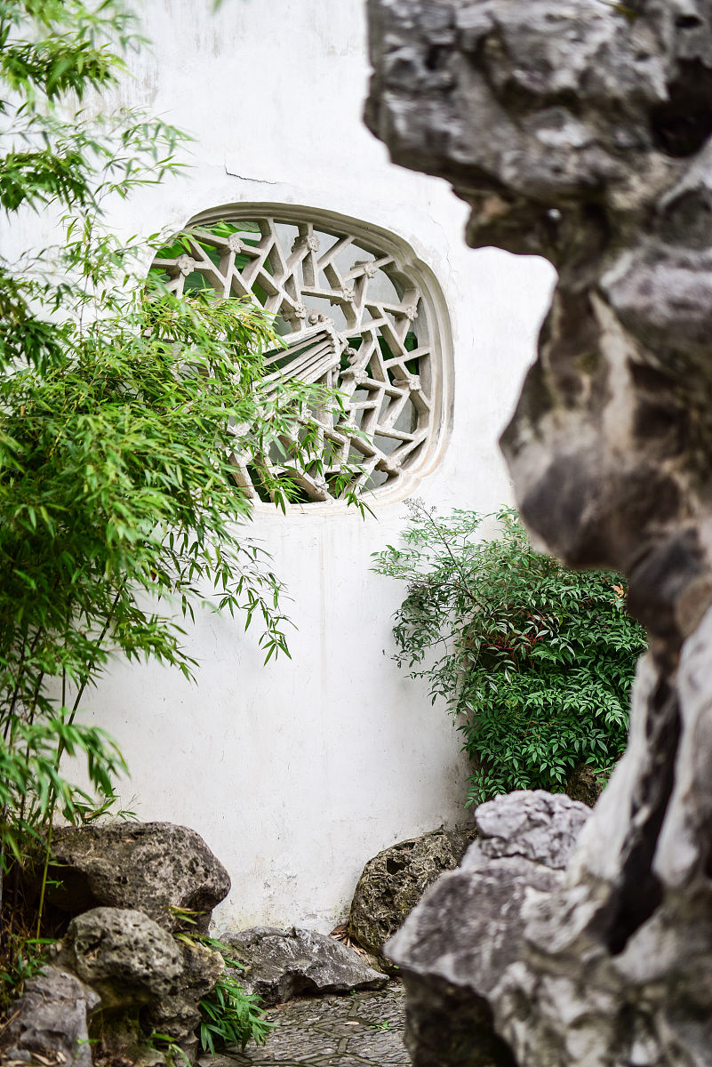 徜徉诗情画意：与园林植物相伴的读书之乐