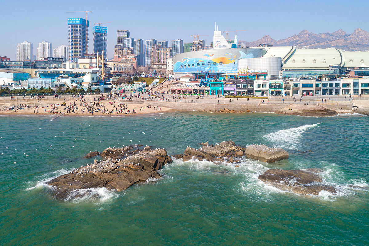 2021年02月21日,青岛海洋极地世界馆前的海鸥.