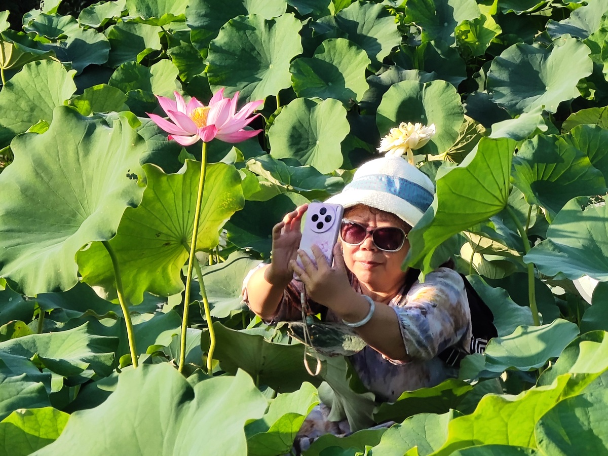写一段文字描述，盛夏荷花池旁边吃烧烤的场景