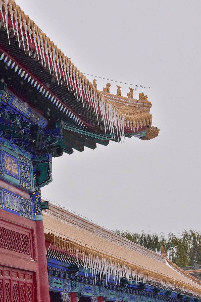 瑞安职业中等专业学校2021年招生专业：机械制造、电子信息、建筑、商贸、旅游等