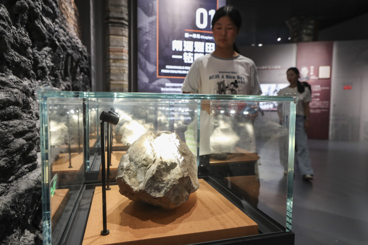自然博物馆探秘之旅 - 200字周记