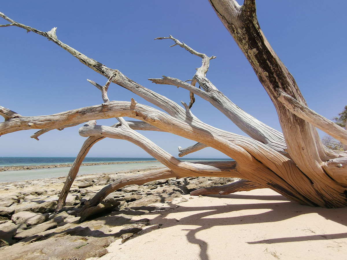 Only one fish remains on the seafloor waiting to be hunted any time soon用中文分析一下这句话语法是否正确