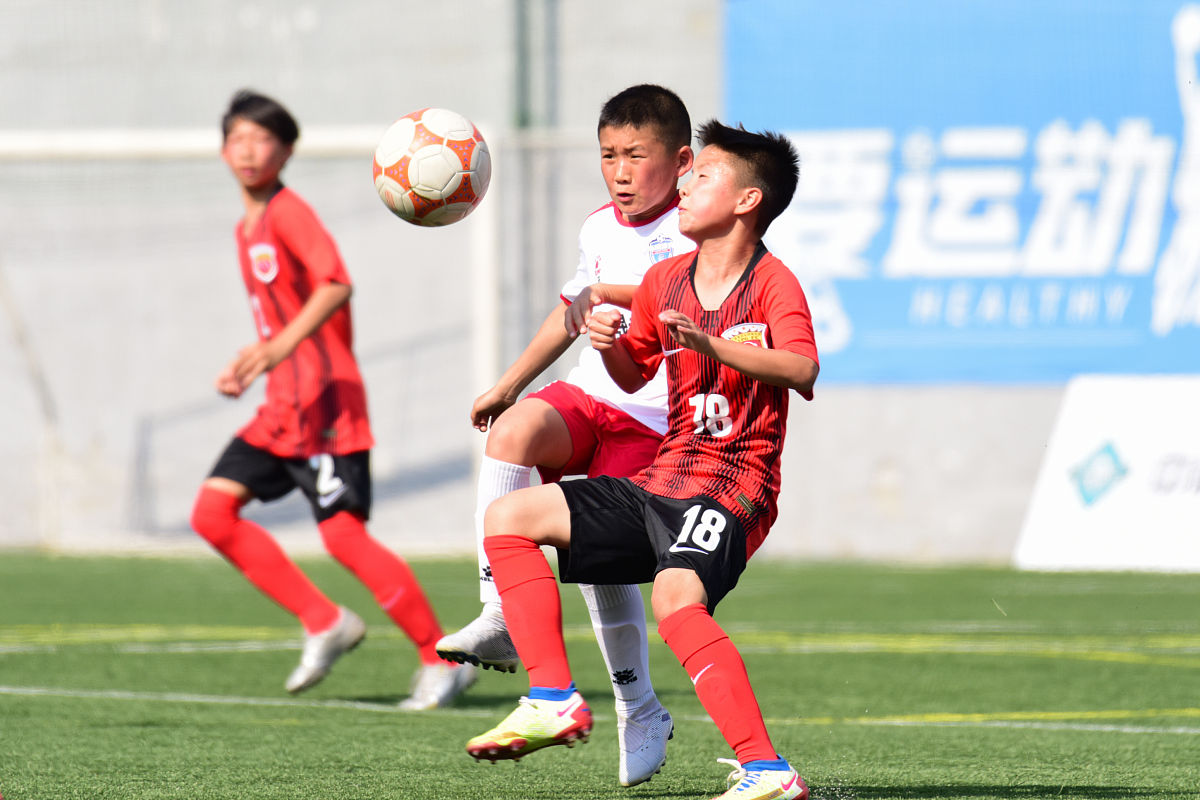 我校学生代表大会提案征集圆满完成！体育馆、图书馆等设施问题已解决