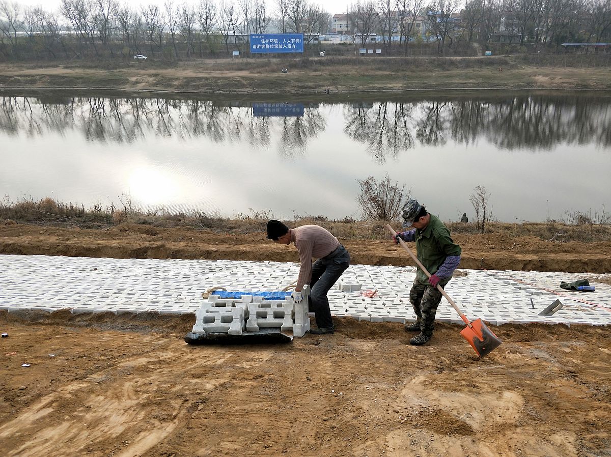 水利工程堤坝白蚁防治不达标，后果很严重！