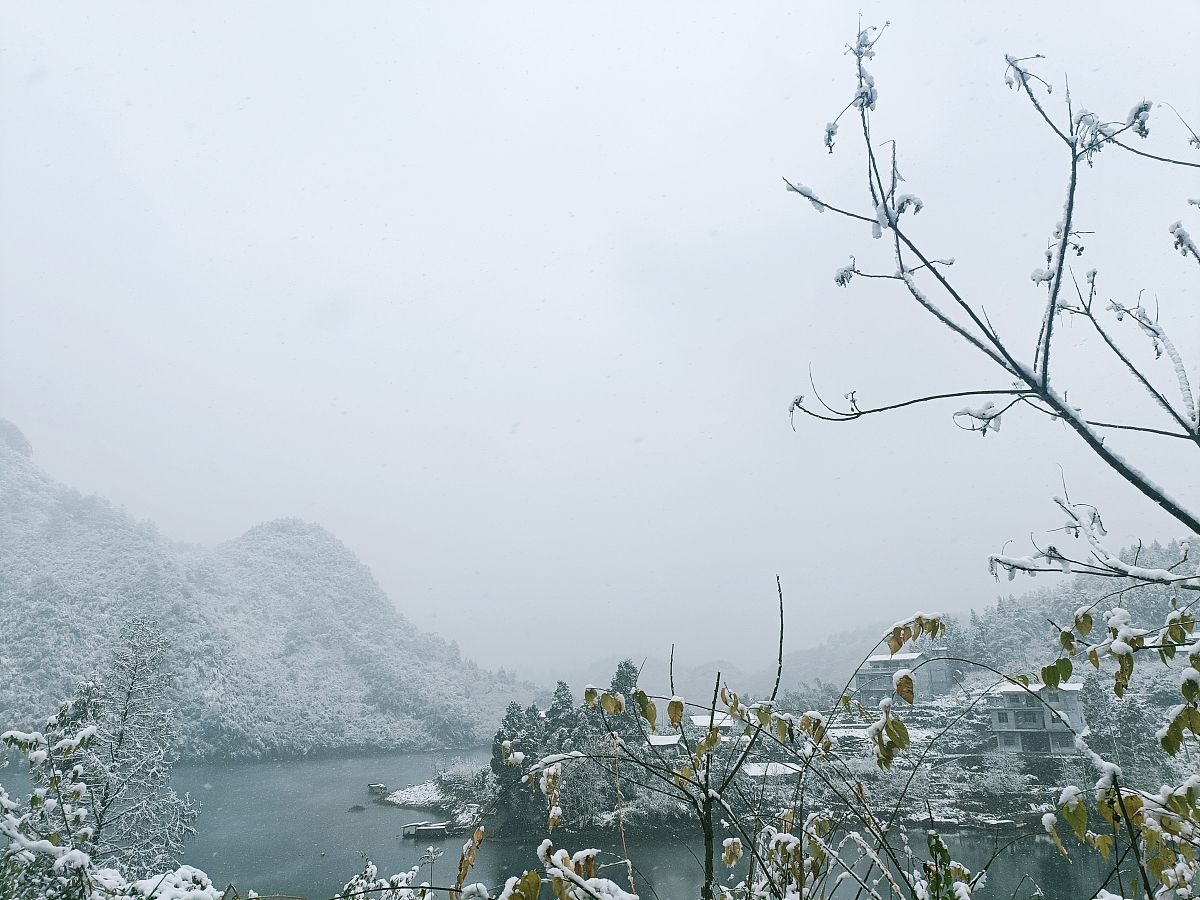 重庆市酉阳县职业教育中心旅游服务与管理专业怎么样