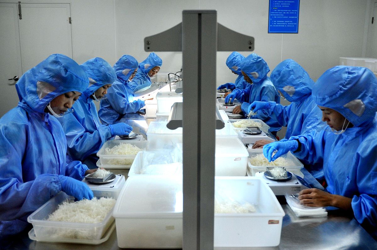 轻工业学校食品加工技术专业怎么样？就业前景如何？