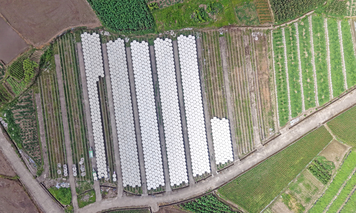 60亩地有多大？面积、用途、价值详解