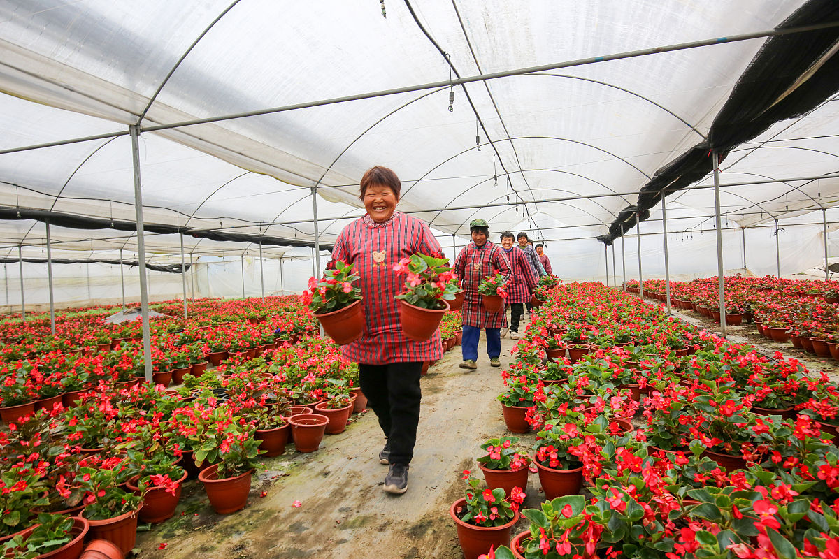 云南省园艺场学校：教学质量怎么样？