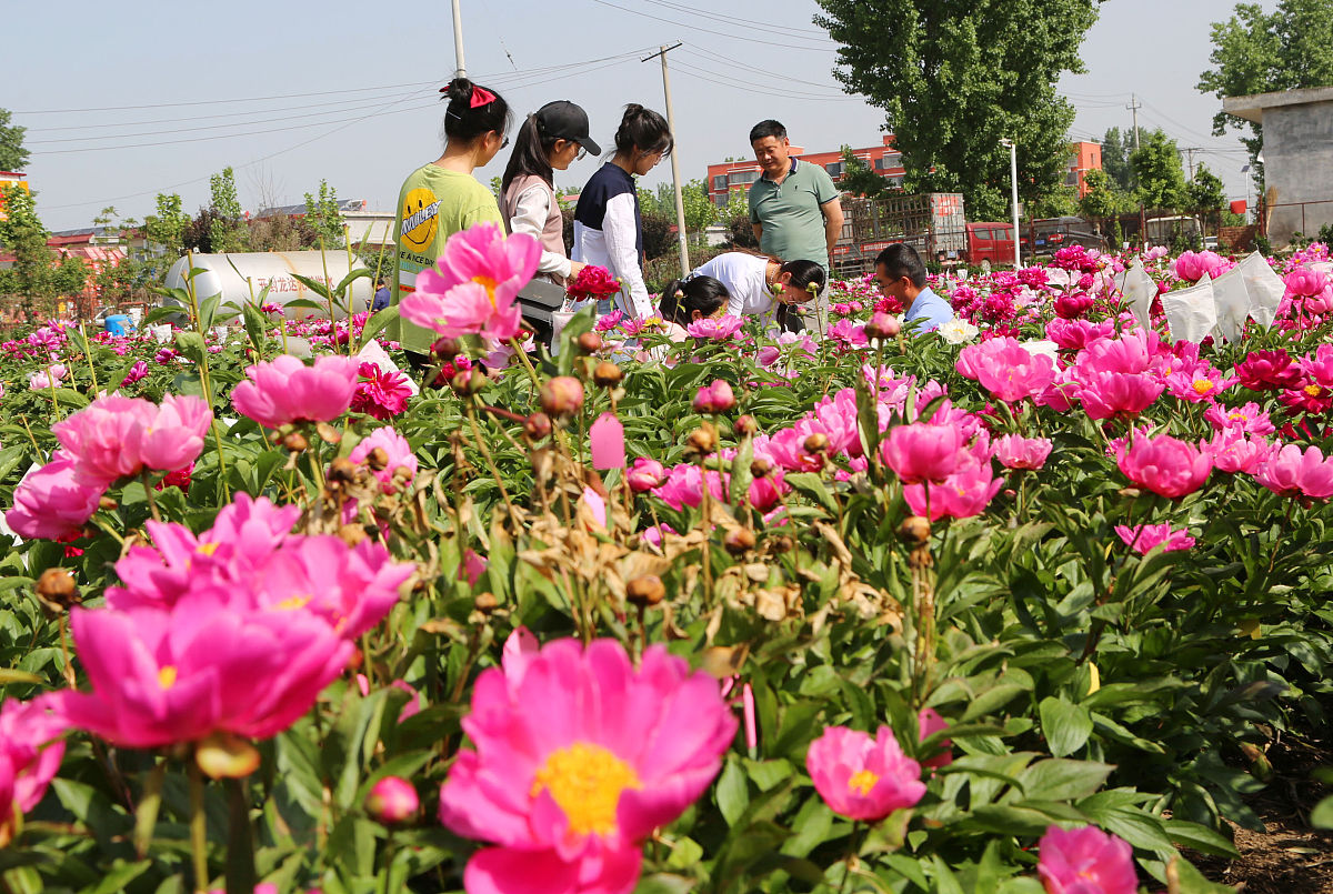 山西工程技术学院五年制大专办学历史久远吗