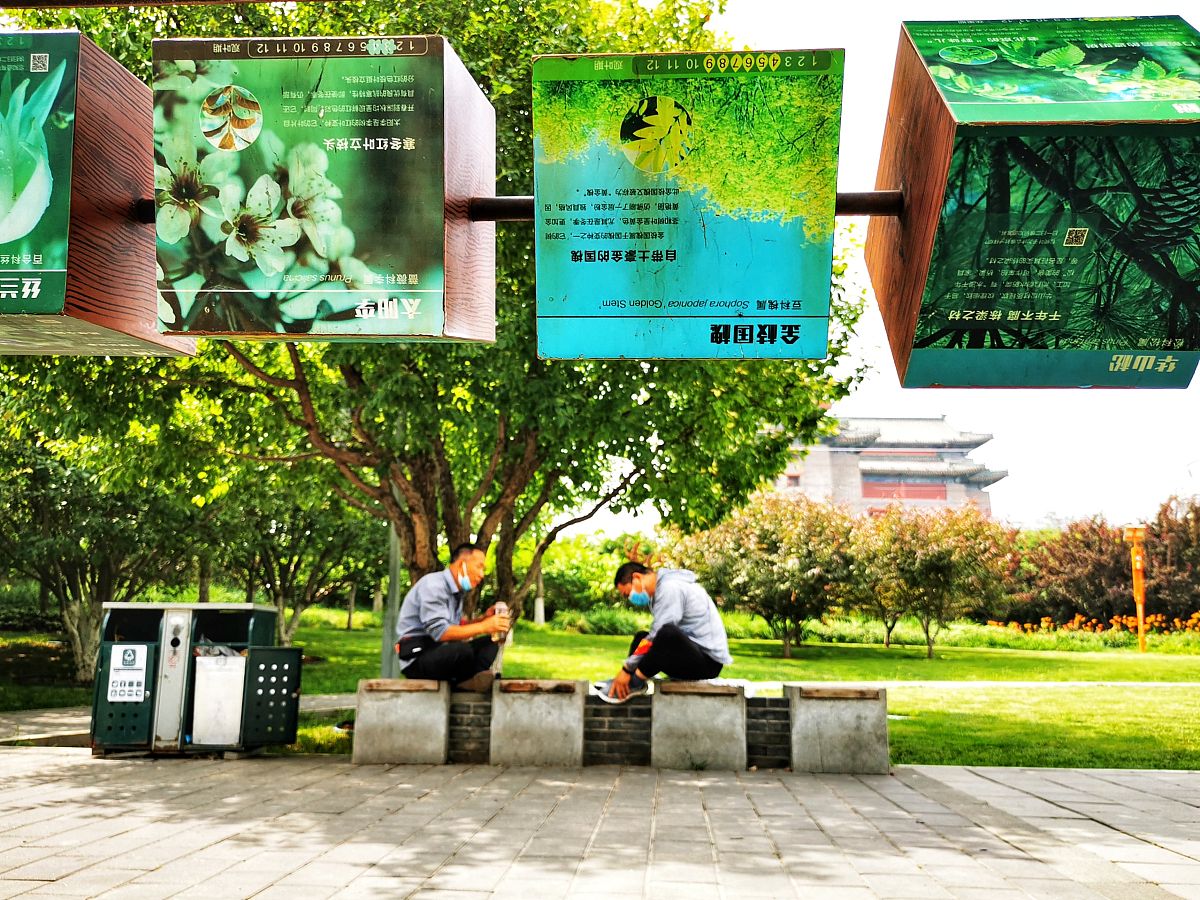 冯庆生同志用行动消除群众疑虑，推动“增绿、护绿、管绿、用绿、活绿”工作深入人心