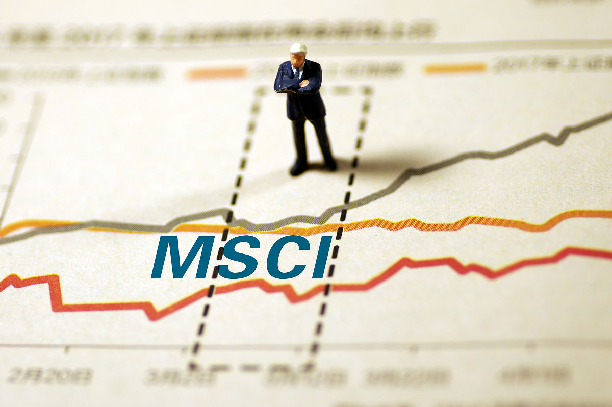 ESG 股票指数在中国：风险收益特征与投资组合多元化研究