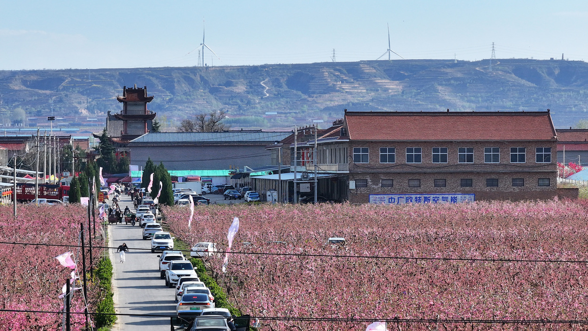 2026年3月31日,山西运城,游客在新绛县万安镇天地庙村