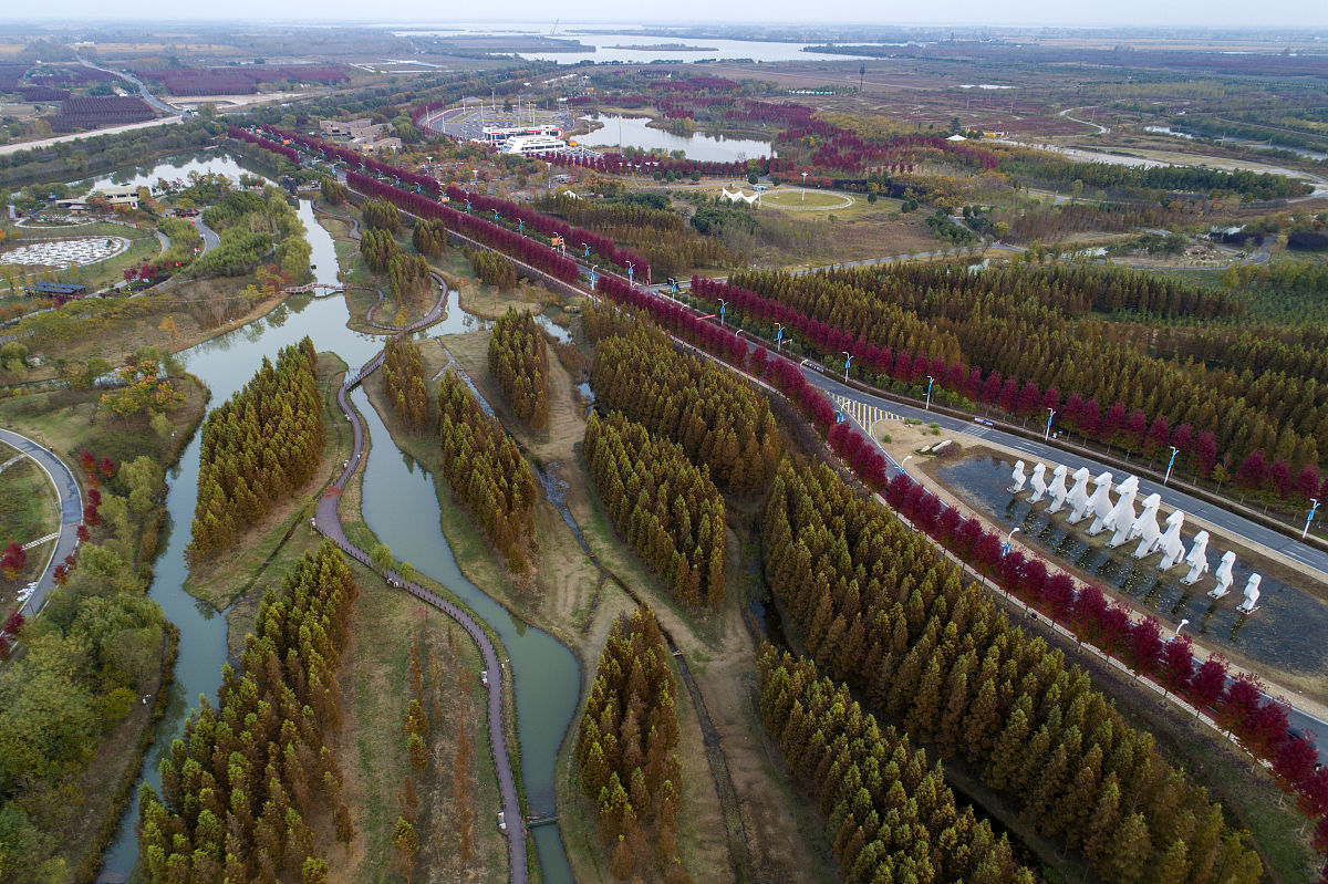 植被生态参数详解：计算方法及应用