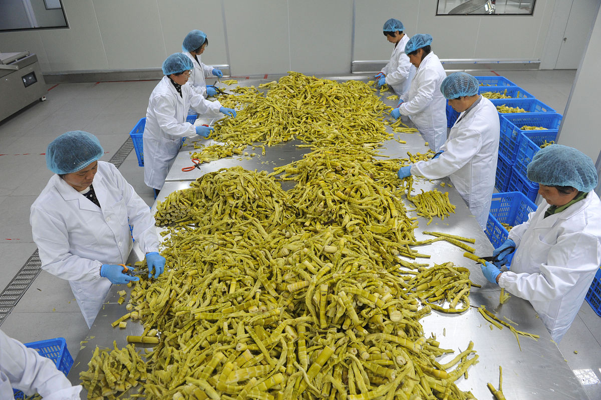 笋业是什么意思_词语笋业的意思