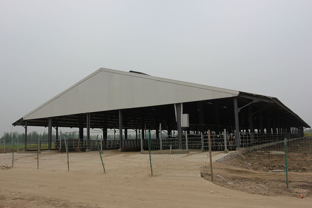 2014年4月6日,武汉市东西湖区,光明生态示范奶牛场工地.