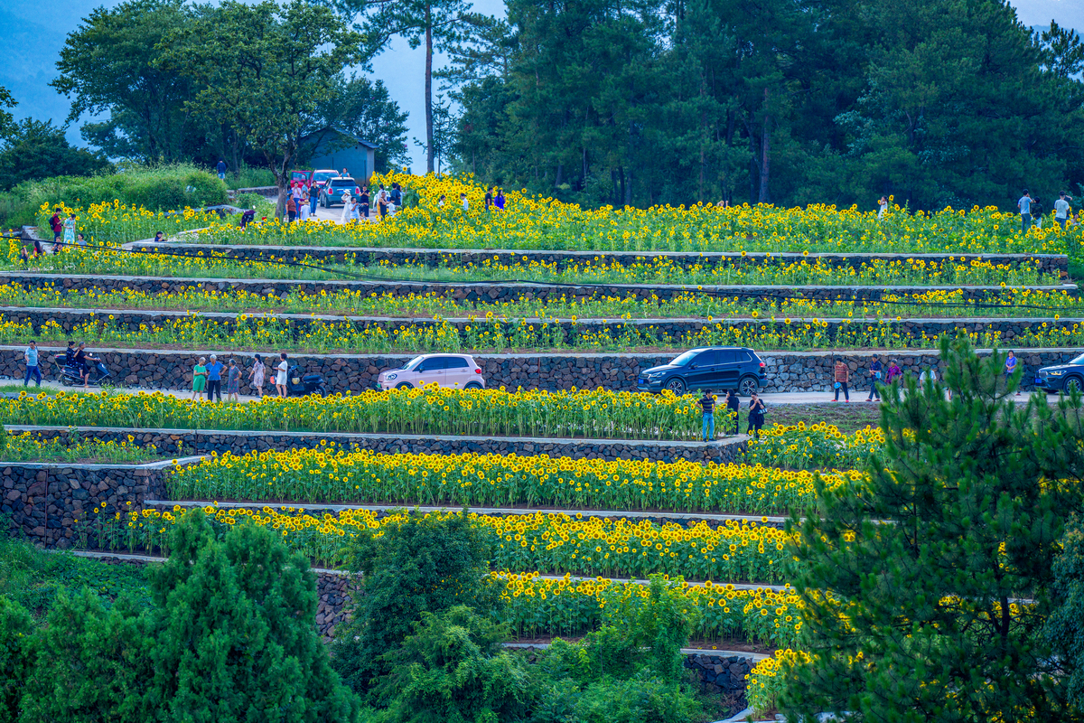 乡村旅游概念、起源、发展阶段以图表的形式呈现