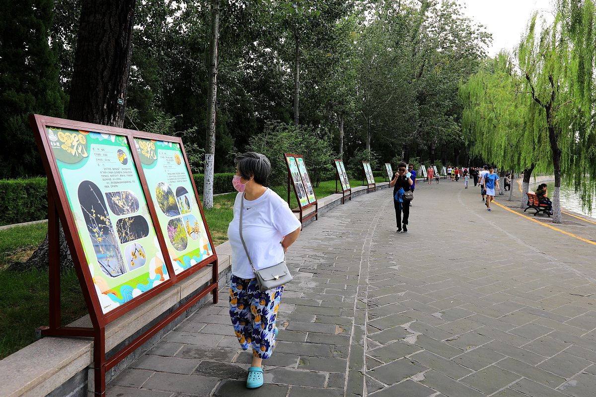 微信分付额度升级教程：快速提升你的支付额度