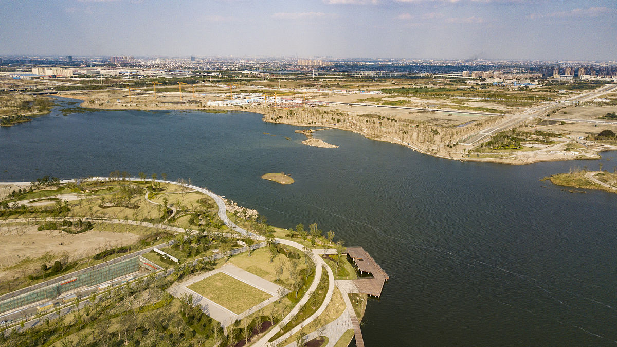 2022年度山东省环境保护示范工程武河湿地项目实践报告