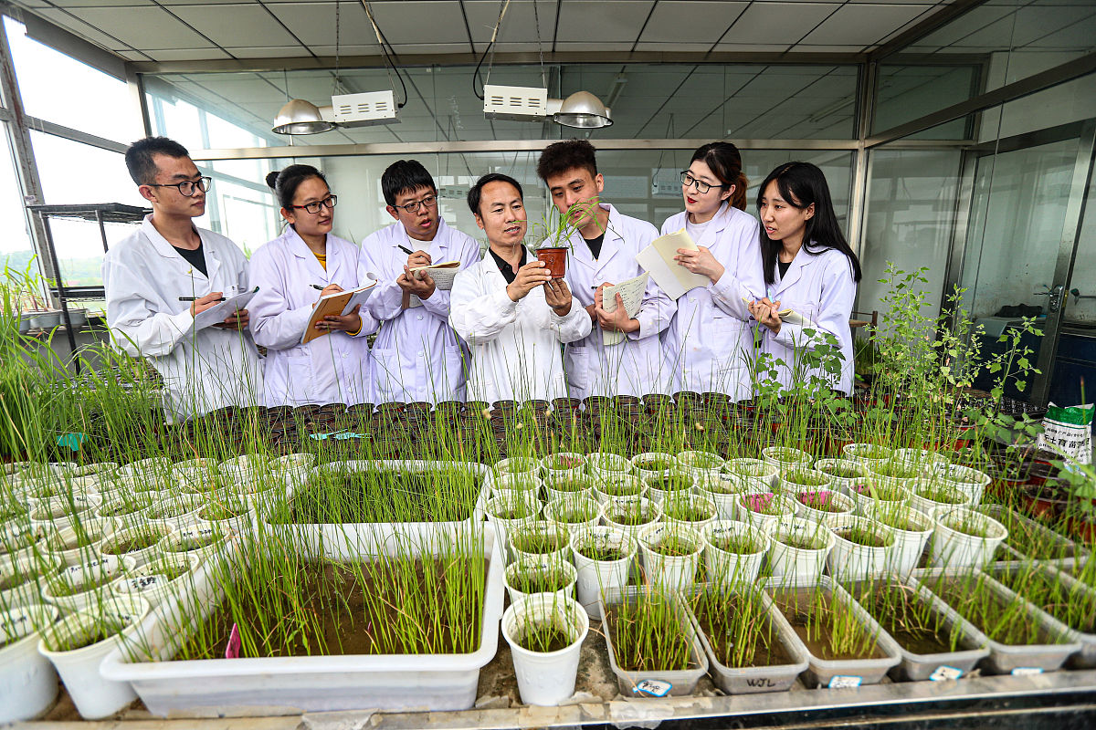 四川中草药种植专业中专中职学校推荐：学习方向及未来发展