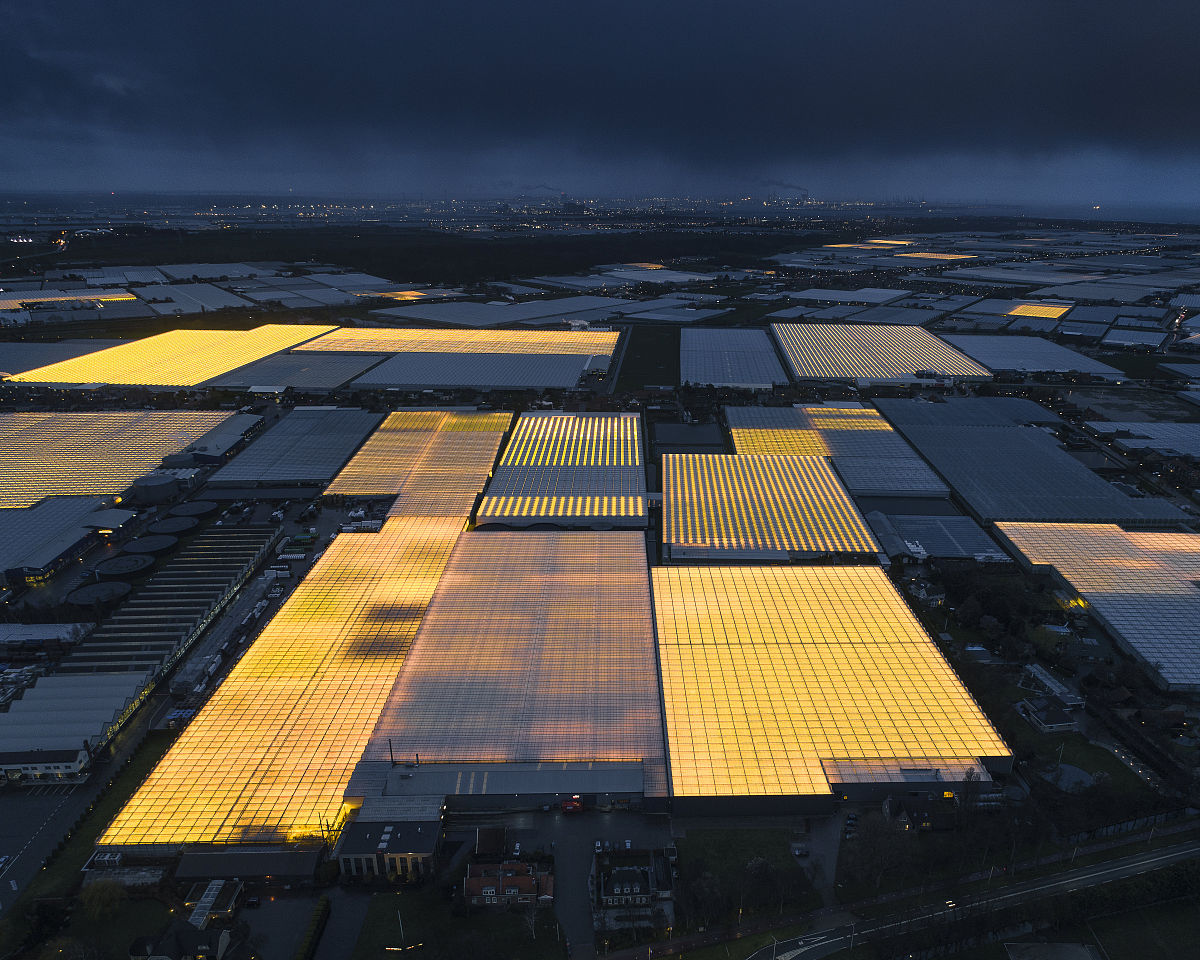 水产用金菌：提高养殖效益的微生物制剂