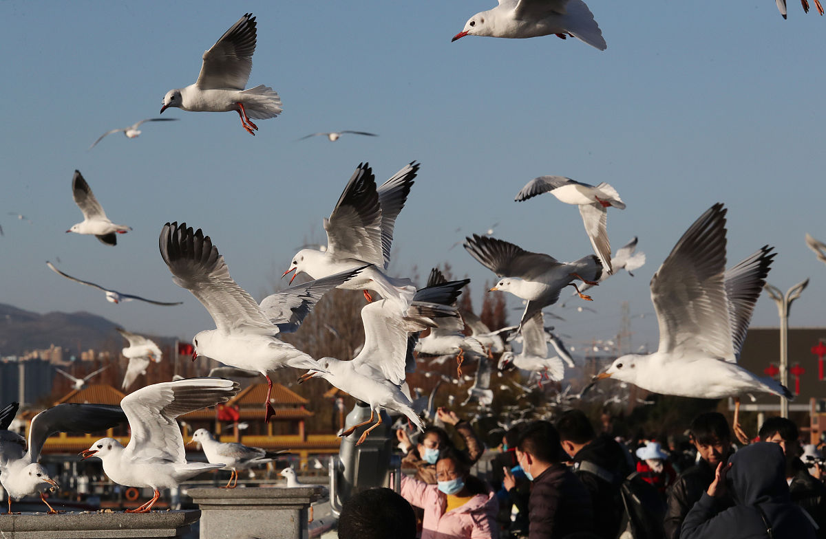 昆明卫校招生信息：2021年昆明市卫生职业学校介绍